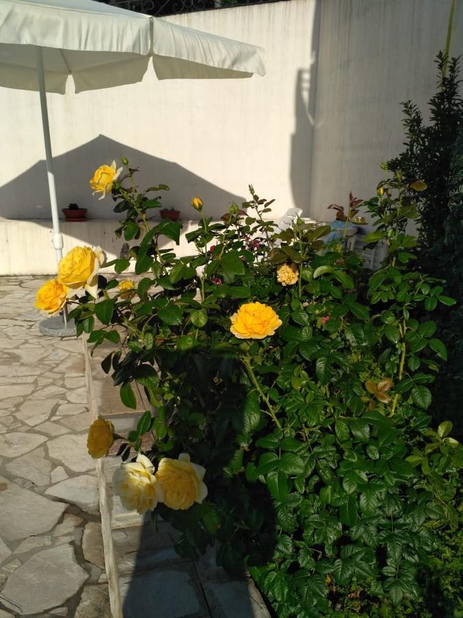 Villa Maria Apartments Kamenari Exterior foto